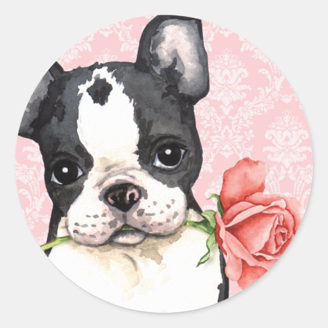 Pegatina Redonda Valentine Rosa Boston Terrier (Anverso)