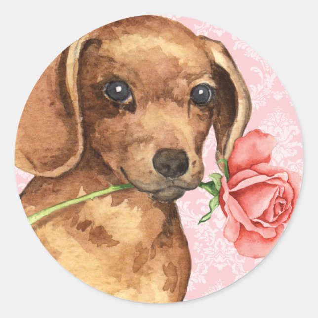 Pegatina Redonda Valentine Rosa Dachshund (Anverso)