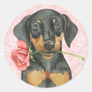Pegatina Redonda Valentine Rosa Doberman