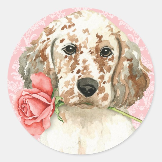 Pegatina Redonda Valentine Rosa English Setter (Anverso)