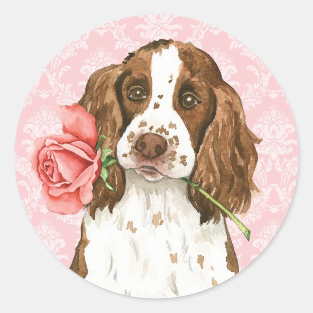 Pegatina Redonda Valentine Rosa English Springer (Anverso)