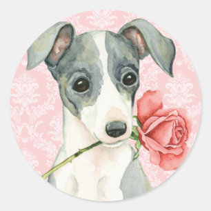 Pegatina Redonda Valentine Rosa Greyhound italiano