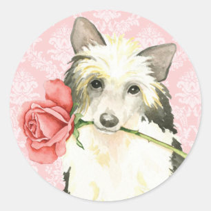 Pegatina Redonda Valentine Rosa Powderpuff