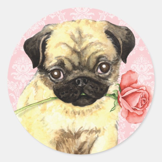 Pegatina Redonda Valentine Rosa Pug (Anverso)