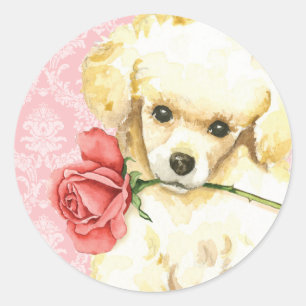 Pegatina Redonda Valentine Rosa Toy Poodle