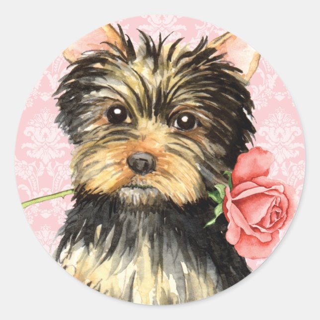 Pegatina Redonda Valentine Rosa Yorkie (Anverso)