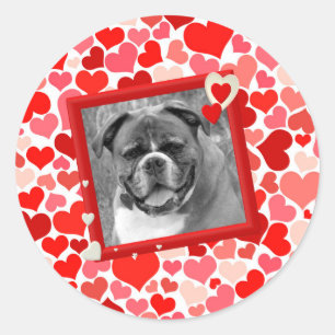 Pegatina Redonda Valentines Boxer Dog Hearts