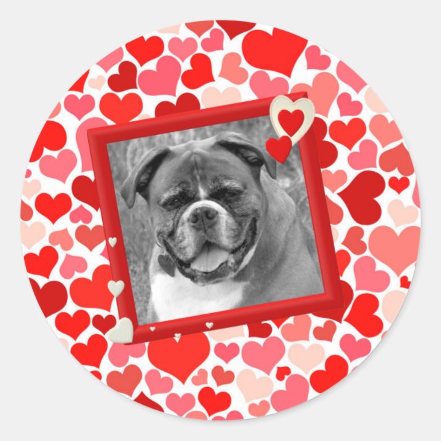 Pegatina Redonda Valentines Boxer Dog Hearts (Anverso)