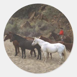 Pegatina Redonda Vaquero con rebaño