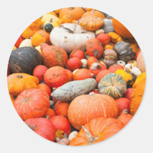 Pegatina Redonda Variedad de calabaza a la venta, Alemania