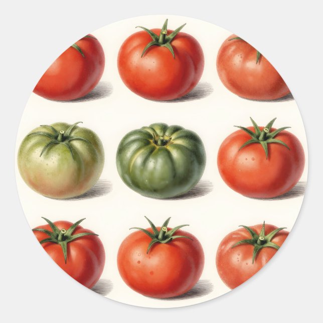 Pegatina Redonda Variedad de Tomate Antiguo Botánico Grid  (Anverso)