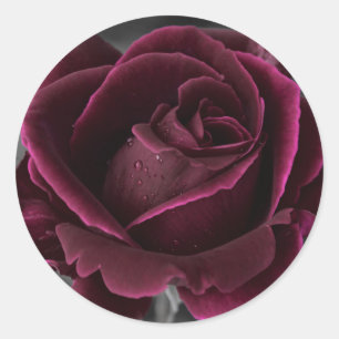 Pegatina Redonda Velvet Burgundy Rosa