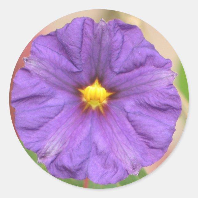 Pegatina Redonda Velvet Robe Flower (Anverso)