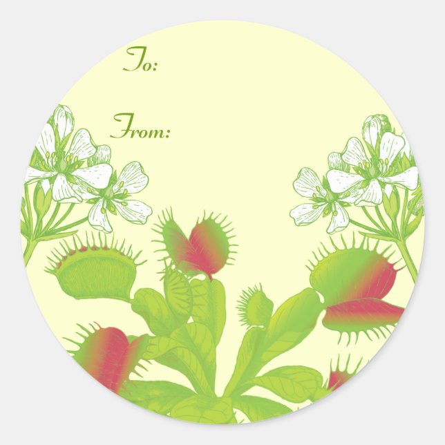Pegatina Redonda Venus Flytrampa Gift (Anverso)