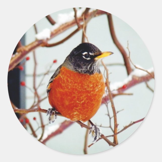 Pegatina Redonda Veo Primavera (Anverso)