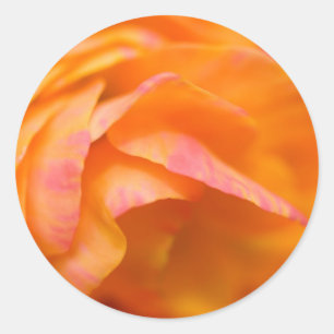 Pegatina Redonda verdad solitaria