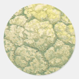 Pegatina Redonda Verduras de comida antigua coliflor
