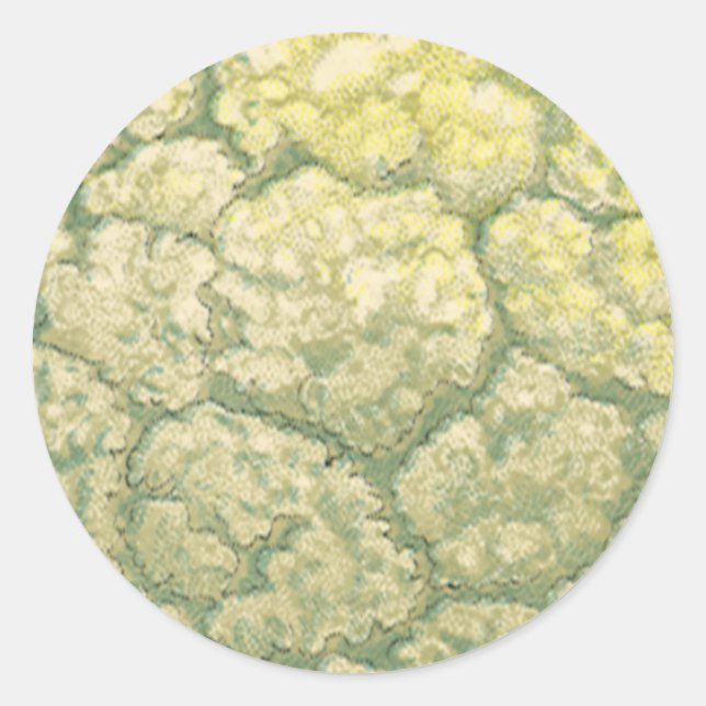 Pegatina Redonda Verduras de comida antigua coliflor (Anverso)