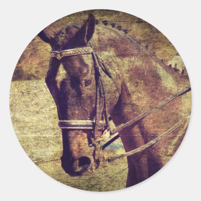 Pegatina Redonda Vestido (Anverso)