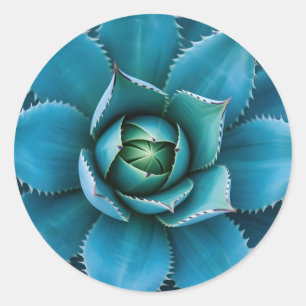 Pegatina Redonda Vibrante Agave Suculento Geométrico Macro en Verde