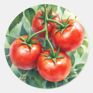 Pegatina Redonda Vid de Tomate Maduro Acuarela Fresca
