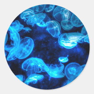 Pegatina Redonda Vida marina náutica Blue Jellyfish