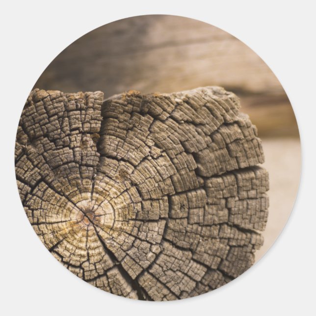 Pegatina Redonda Viejas texturas de cabina (Anverso)