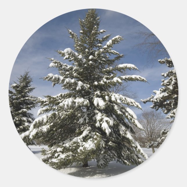 Pegatina Redonda Vienen los inviernos (Anverso)