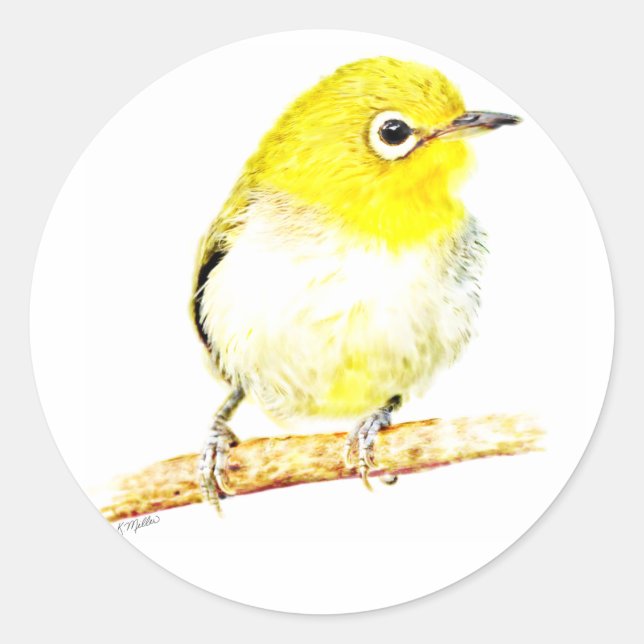 Pegatina Redonda Viero amarillo (Anverso)