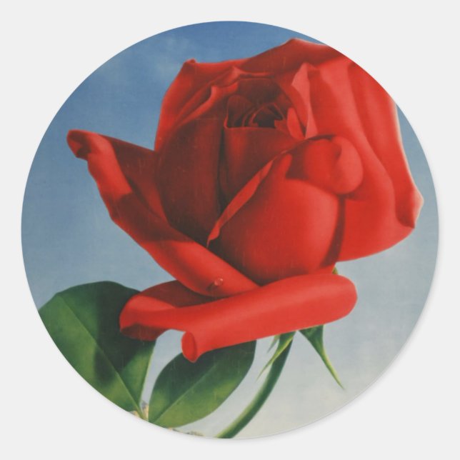 Pegatina Redonda Viñage Montreux Red Rose Suiza Lago Ginebra (Anverso)