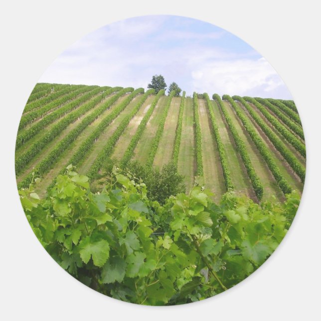 Pegatina Redonda Vineyard - Viñedo (Burdeos - Francia) 02 (Anverso)