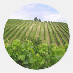 Pegatina Redonda Vineyard - Viñedo (Burdeos - Francia) 02