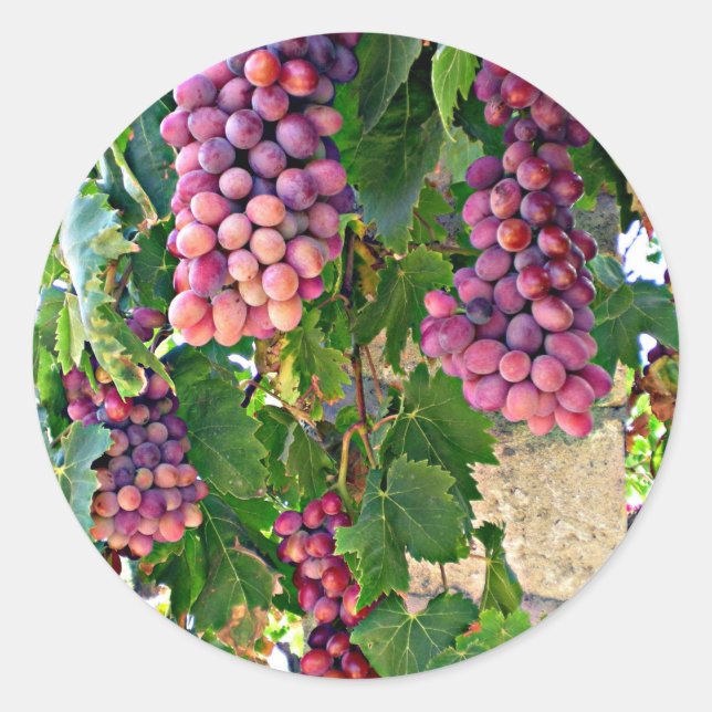 Pegatina Redonda Vino de uva (Anverso)