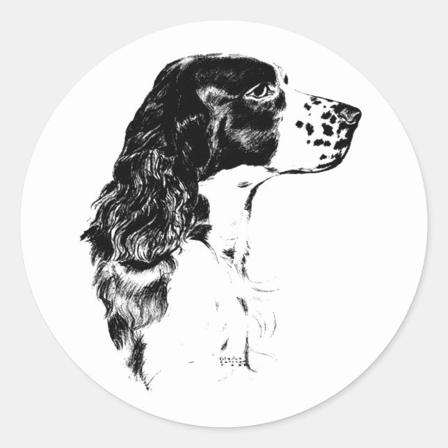 Pegatina Redonda Vintage Art English Springer Spaniel Dog (Anverso)
