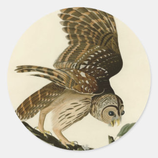 Pegatina Redonda Vintage Audubon Barred Owl Hunting Bird Gift