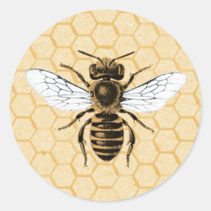 Pegatina Redonda Vintage Bee en Honeycomb