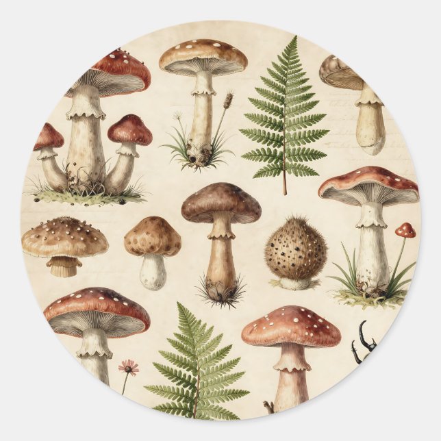 Pegatina Redonda Vintage Botanical Mushroom Fern Collage (Anverso)