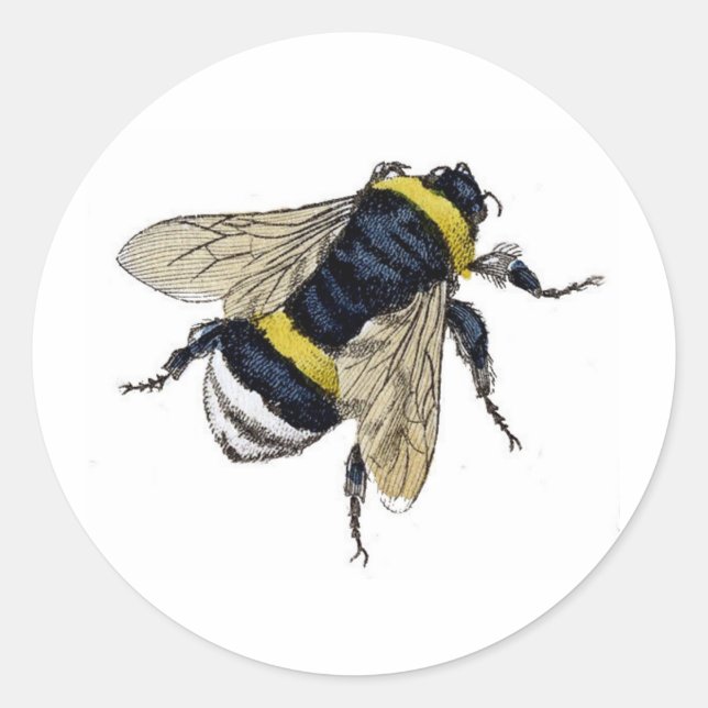 Pegatina Redonda Vintage Bumble Bee (Anverso)
