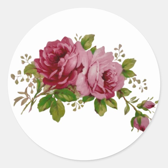 Pegatina Redonda Vintage Cabbage Rose Elegance Sticker (Anverso)