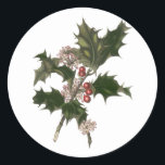 Pegatina Redonda Vintage Christmas, Green Holly Planta con Berries<br><div class="desc">Ilustracion de época Victorian Era Feliz Navidad diseño con una rama floral con hojas huecas,  bayas rojas y flores rosas. ¡Felices fiestas y saludos de temporada!</div>