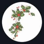 Pegatina Redonda Vintage Christmas, Holly Plant with Red Berries<br><div class="desc">Navidades de ilustracion de época de vacaciones en el diseño de la vegetación con una rama de árbol floral tradicional con hojas huecas y bayas rojas. Plantas botánicas de la era victoriana. ¡Saludos de temporada,  Felices Fiestas y Feliz Navidad!</div>