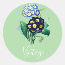 Vintage Cowslim Primrose botanical