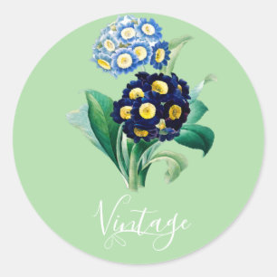 Pegatina Redonda Vintage Cowslim Primrose botanical