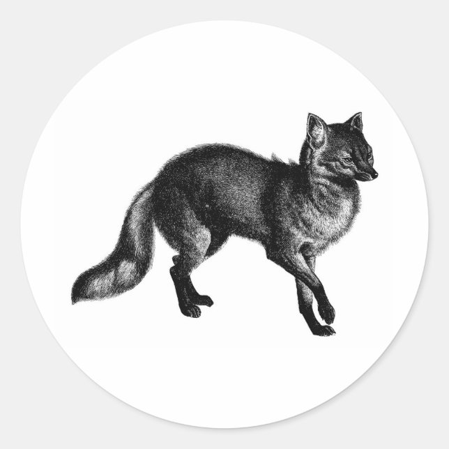 Pegatina Redonda Vintage Fox (Anverso)