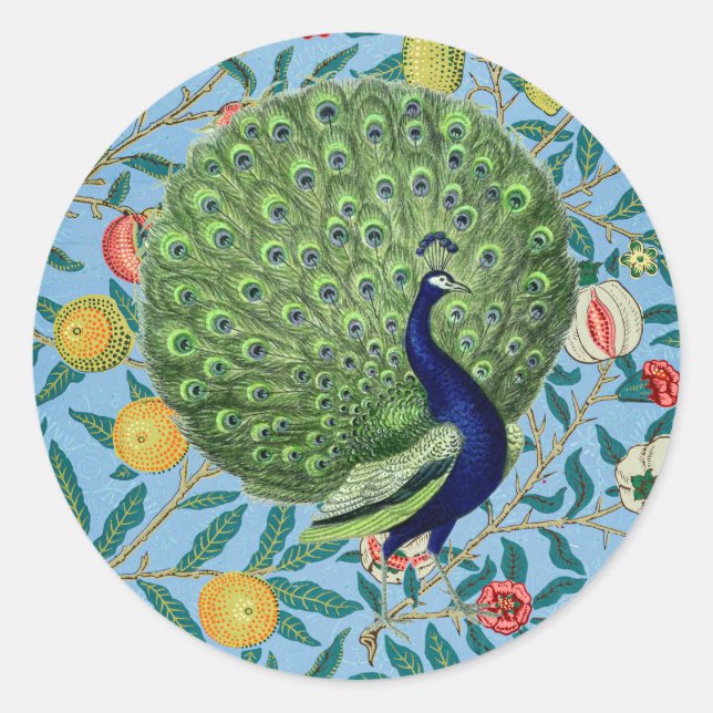 Pegatina Redonda Vintage Open Fan Feathers Peacock (Anverso)