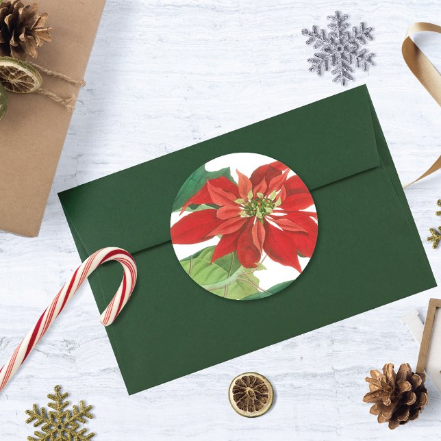 Pegatina Redonda Vintage Poinsettia Botanic (Subido por el creador)