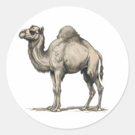 Pegatina Redonda Vintage Realistic Camel Illustration-Desert Camel