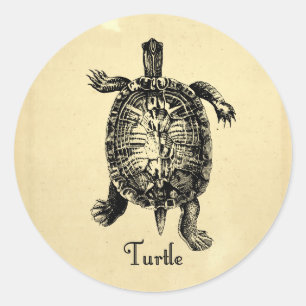 PEGATINA REDONDA VINTAGE TURTLE
