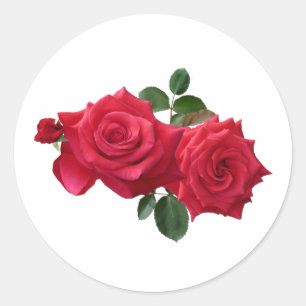 Pegatina Redonda Vintar dos rosas rojas con hojas redondas clásicas
