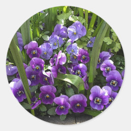 Pegatina Redonda Violaciones púrpuras